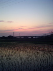 2016/06/18_水田の夕暮れ