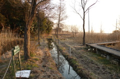 2015/02/11_ホタルの里