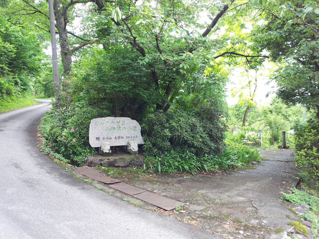 2018/06/16_天神山山頂への道と花の森・天神山ガーデンへの道