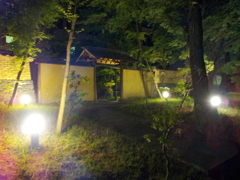 2016/05/08_夜のこころの杜