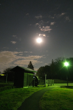 2014/12/07_月夜の下芝水辺公園