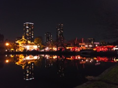 2017/04/03_夜の上野公園