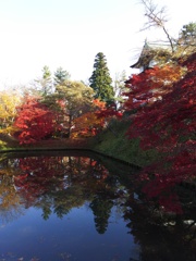 2016/11/14_弘前公園 中濠と丑寅櫓