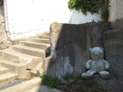 2017/06/18_悲しげな白熊と不安げな猫
