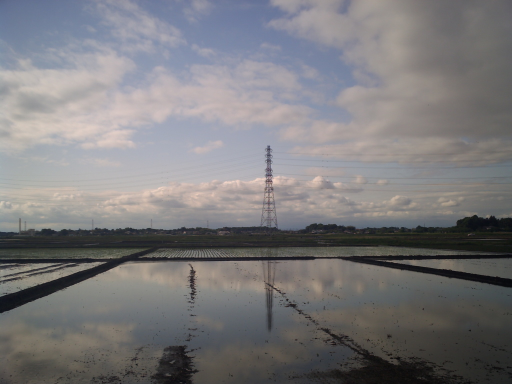 2017/05/14_水田に雲