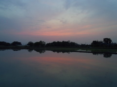 2016/05/01_水田の夕暮れ