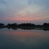 2016/05/01_水田の夕暮れ