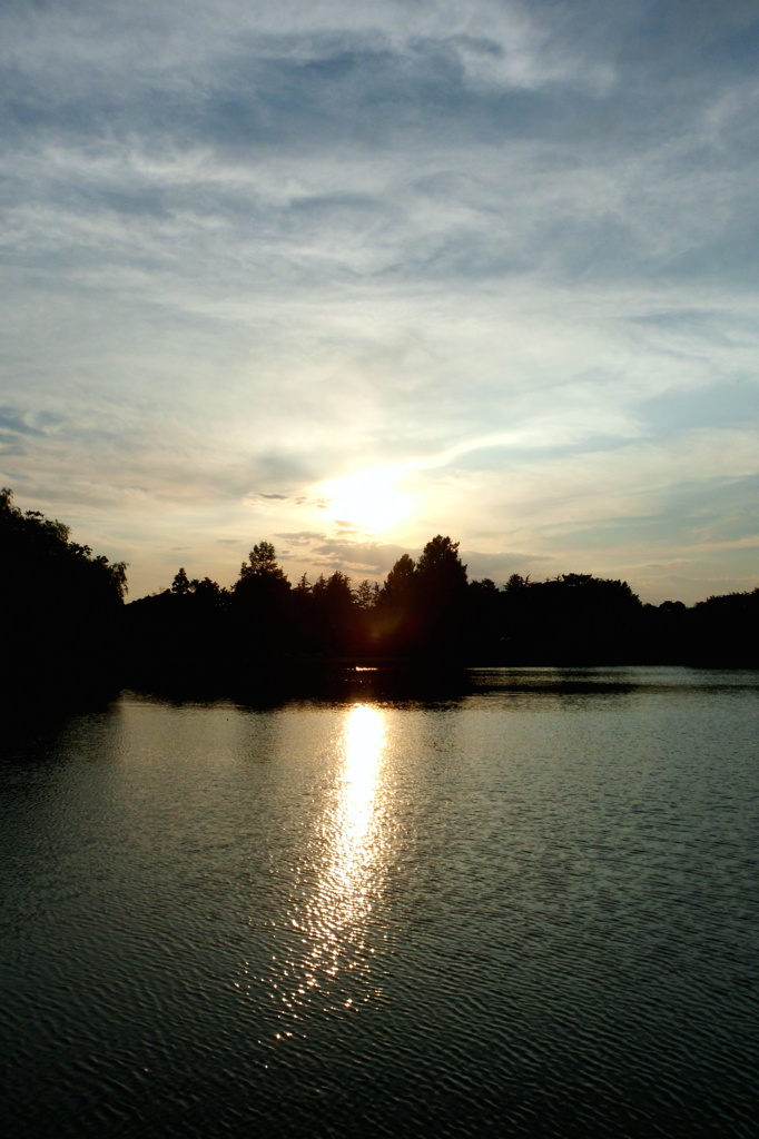 2014/06/15_夕暮れのしのぶ池