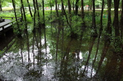 2015/07/05_伊奈町制施行記念公園