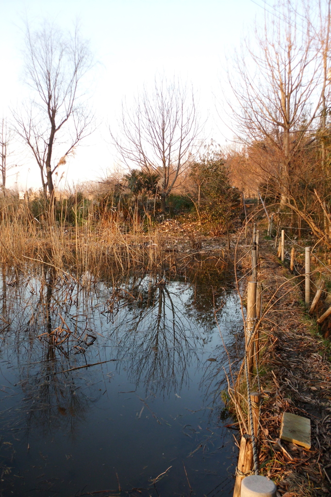 2015/02/11_ホタルの里