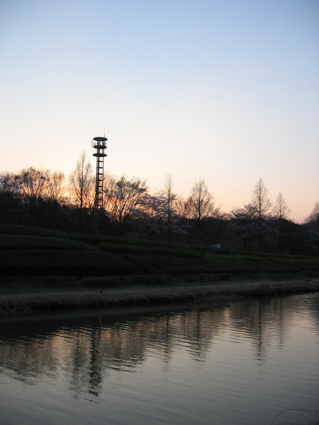 2017/04/02_花の丘農林公苑の夕暮れ