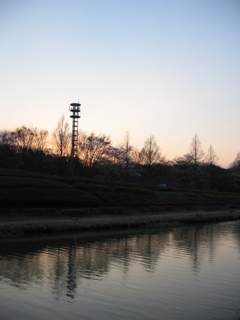 2017/04/02_花の丘農林公苑の夕暮れ
