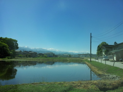 2017/05/19_水田に立山連峰