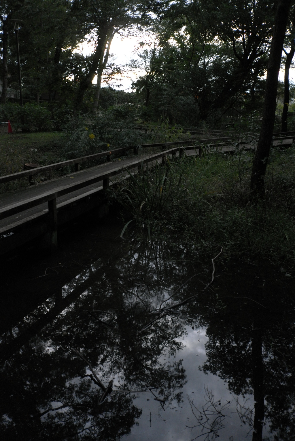 2017/10/07_夕暮れの伊奈町制施行記念公園