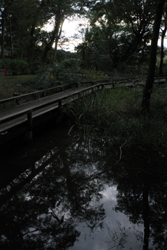 2017/10/07_夕暮れの伊奈町制施行記念公園