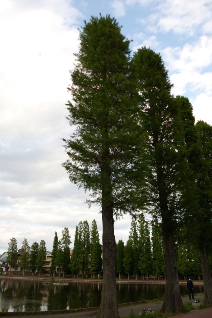 2014/05/18_別所沼公園