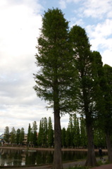 2014/05/18_別所沼公園