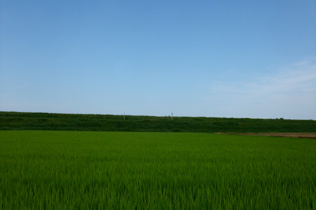2014/07/12_空と田んぼ