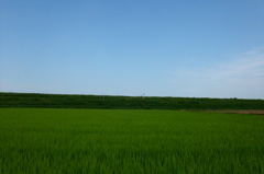 2014/07/12_空と田んぼ