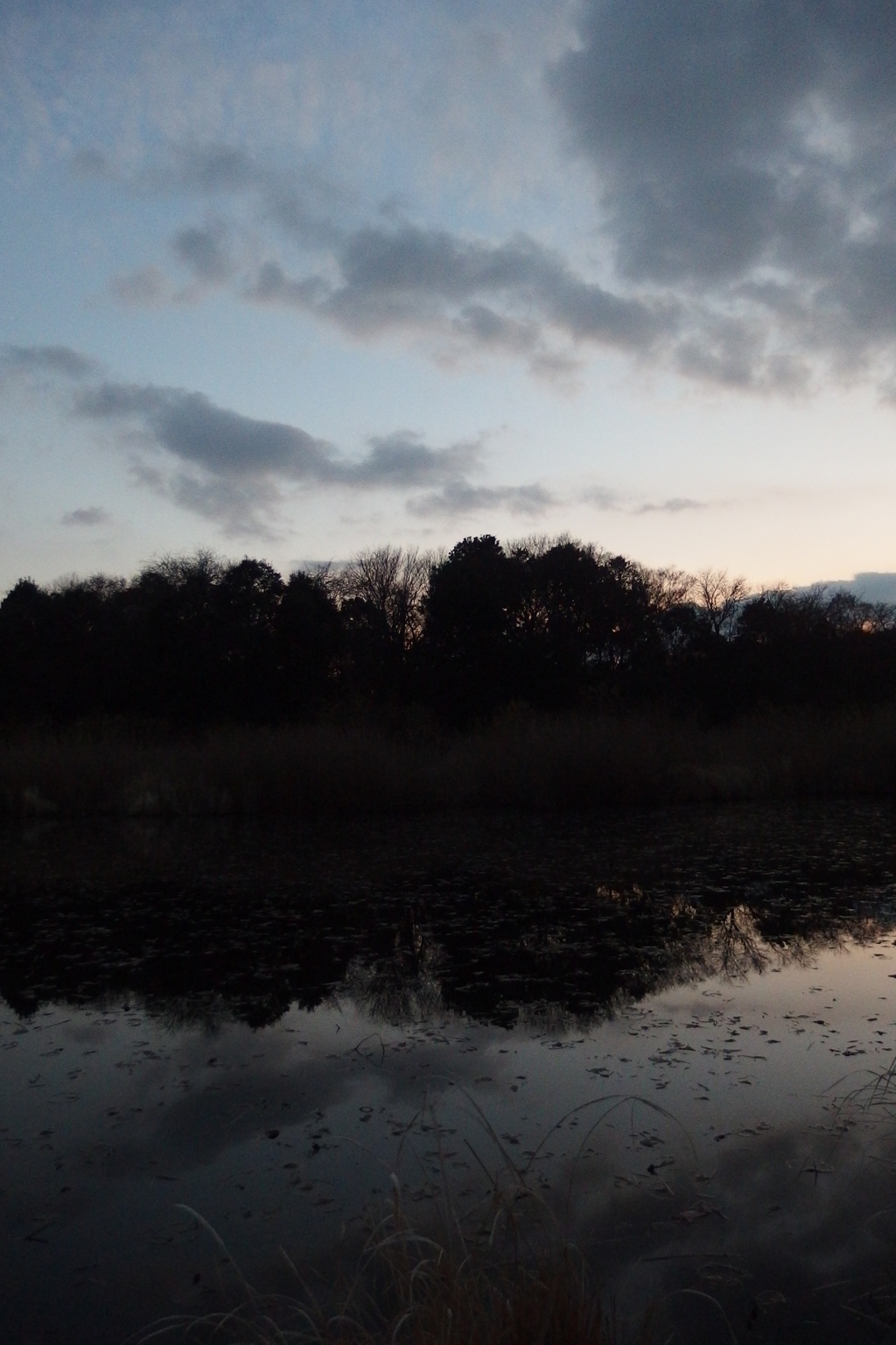 2015/12/31_赤坂沼の夕暮れ
