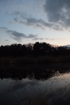 2015/12/31_赤坂沼の夕暮れ