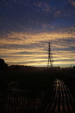 2015/06/27_水田の夕暮れ