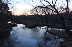 2015/02/15_夕暮れの秋葉の森総合公園