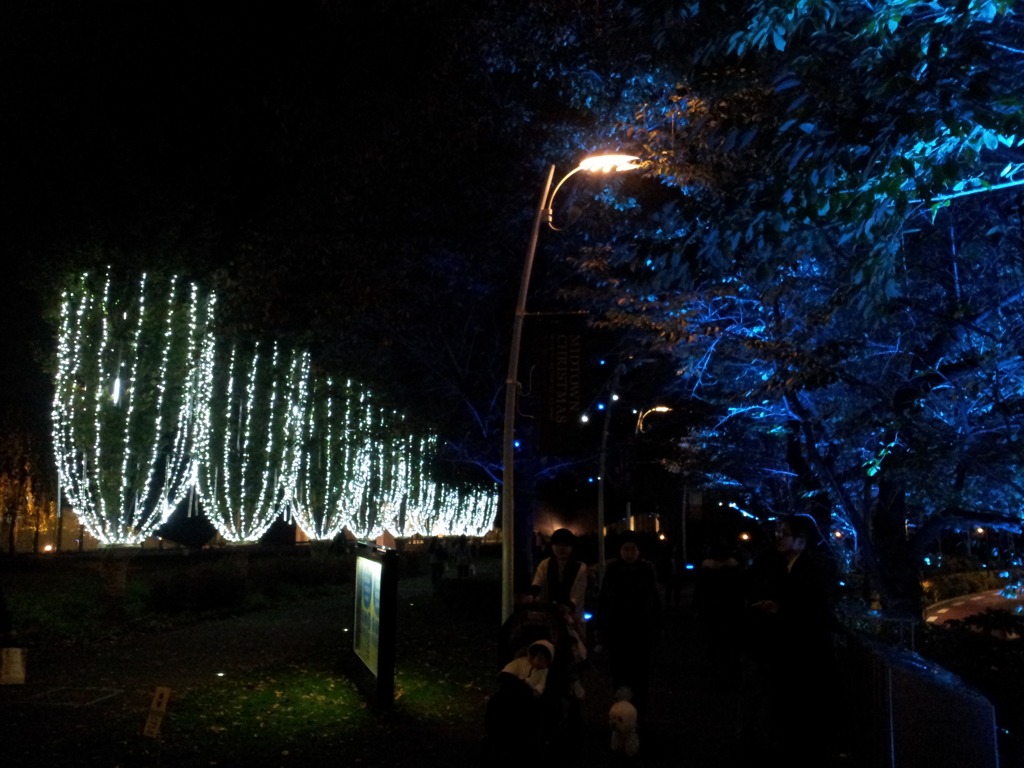 2013/11/16_夜の東京ミッドタウン