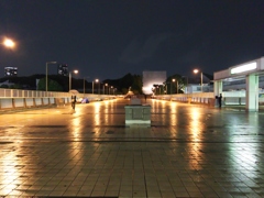 2016/05/06_夜、雨上がりのパンダ橋