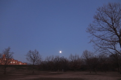 2015/01/04_彩湖の夕暮れ