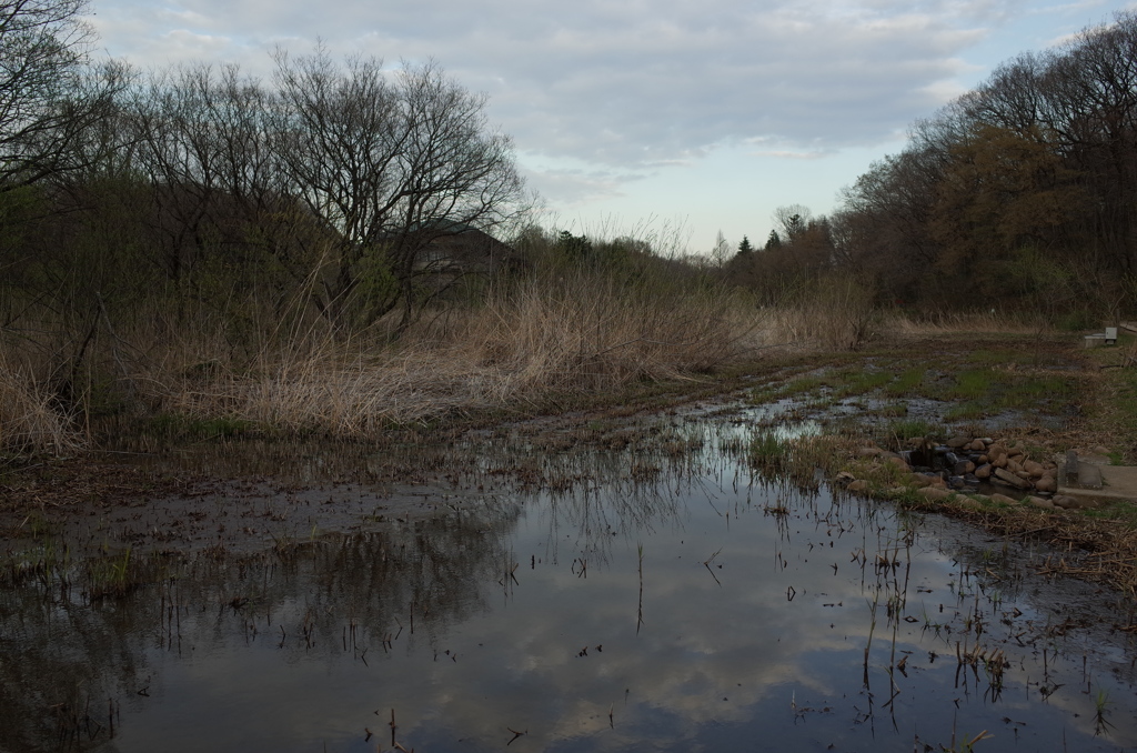 2016/03/26_北本自然観察公園