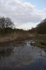 2016/03/26_北本自然観察公園