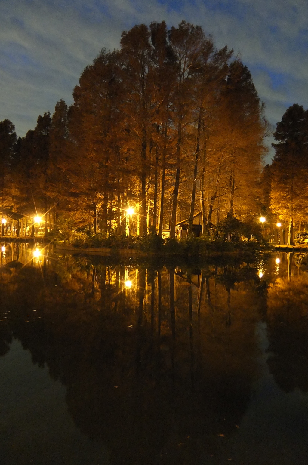 2014/12/07_夕暮れの別所沼公園