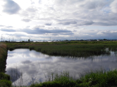 2017/05/14_溜め池に雲