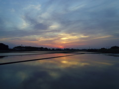 2017/05/21_水田の夕暮れ