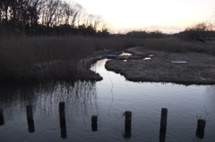 2015/02/15_夕暮れの秋葉の森総合公園