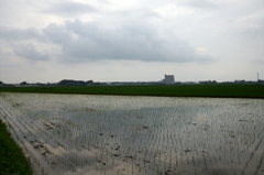 2015/07/05_水田に曇天
