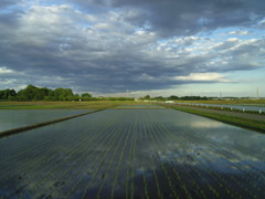 2017/06/04_水田に雲