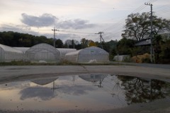 2015/11/29_水たまりに空