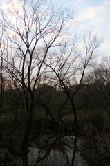 2016/03/26_北本自然観察公園