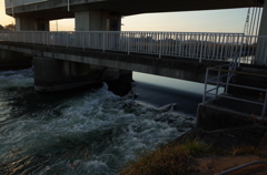 2014/11/22_見沼代用水