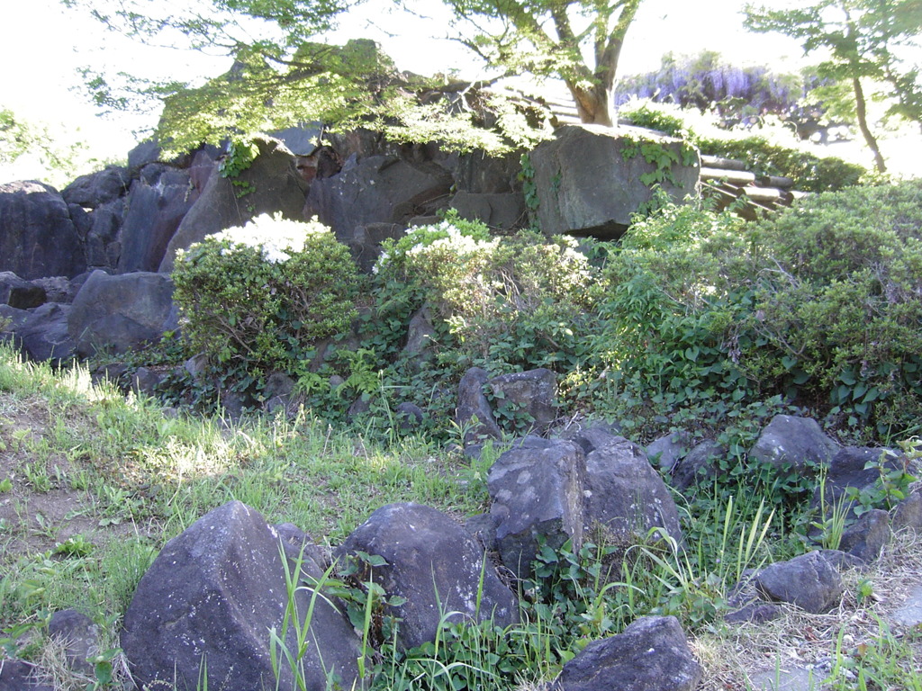 2017/05/04_鎮守の森公園