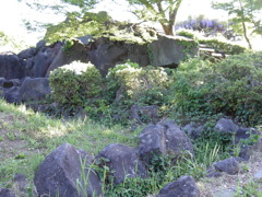 2017/05/04_鎮守の森公園