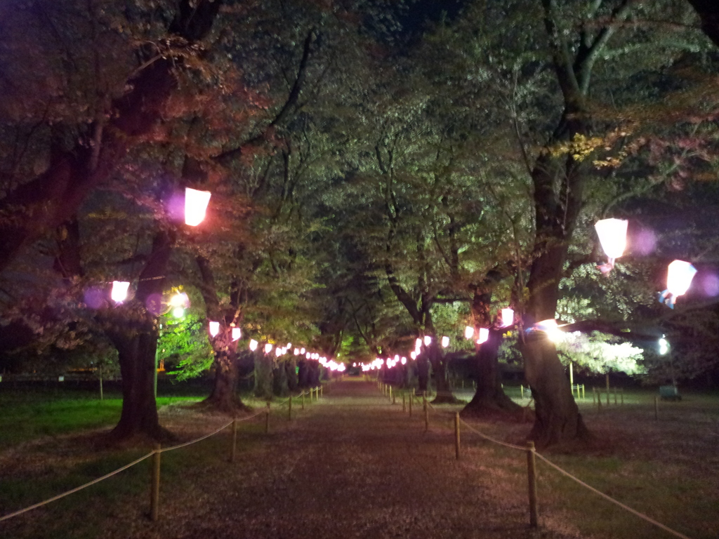 2016/04/10_小室無線山の夜桜