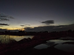 2017/01/09_水溜まりと溜め池の夕暮れ