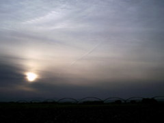 2015/11/01_夕暮れの吹上コスモス畑