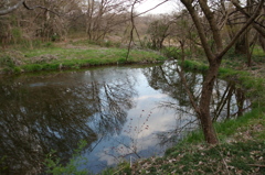 2016/03/26_北本自然観察公園