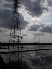 2017/06/11_水田に雲