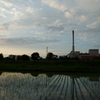 2016/06/26_水田の夕暮れ