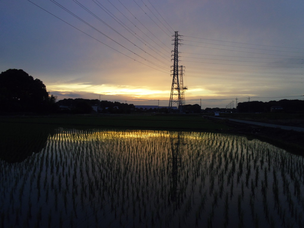 2017/06/25_水田の夕暮れ